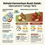 Bahagian Pembangunan Indsutri Tanaman Selangor (53)